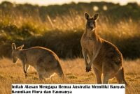 Inilah Alasan Mengapa Benua Australia Memiliki Banyak Keunikan Flora dan Faunanya