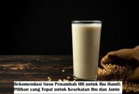 Rekomendasi Susu Penambah HB untuk Ibu Hamil: Pilihan yang Tepat untuk Kesehatan Ibu dan Janin